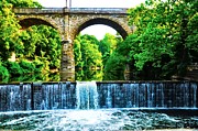 Bill Cannon - Wissahickon Falls