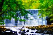 Bill Cannon - Below the Waterfall