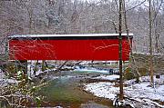 Bill Cannon - Covered Bridge Along the Wissahickon Creek
