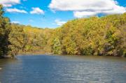Bill Cannon - Crum Creek in Autumn