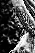 Bill Cannon - Lady in the Garden 1