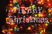 Bill Cannon - Merry Christmas