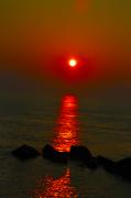 Bill Cannon - Morning Reflection
