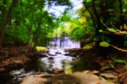 Bill Cannon - My Waterfall