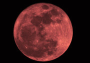 Bill Cannon - Red Moon