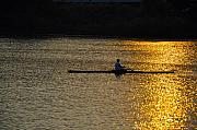 Bill Cannon - Rowing at Sunset