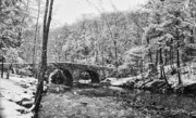 Bill Cannon - Snow Along the Wissahickon Creek