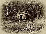 Bill Cannon - Spring House Wises Mill Road