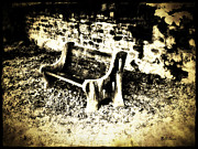 Bill Cannon - The Park Bench